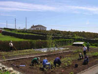 Photograph : The Secret Garden | NI Water News